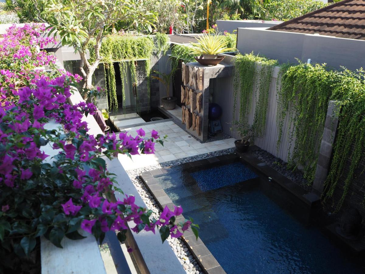 Pronoia Beach Resort 짐바란 외부 사진